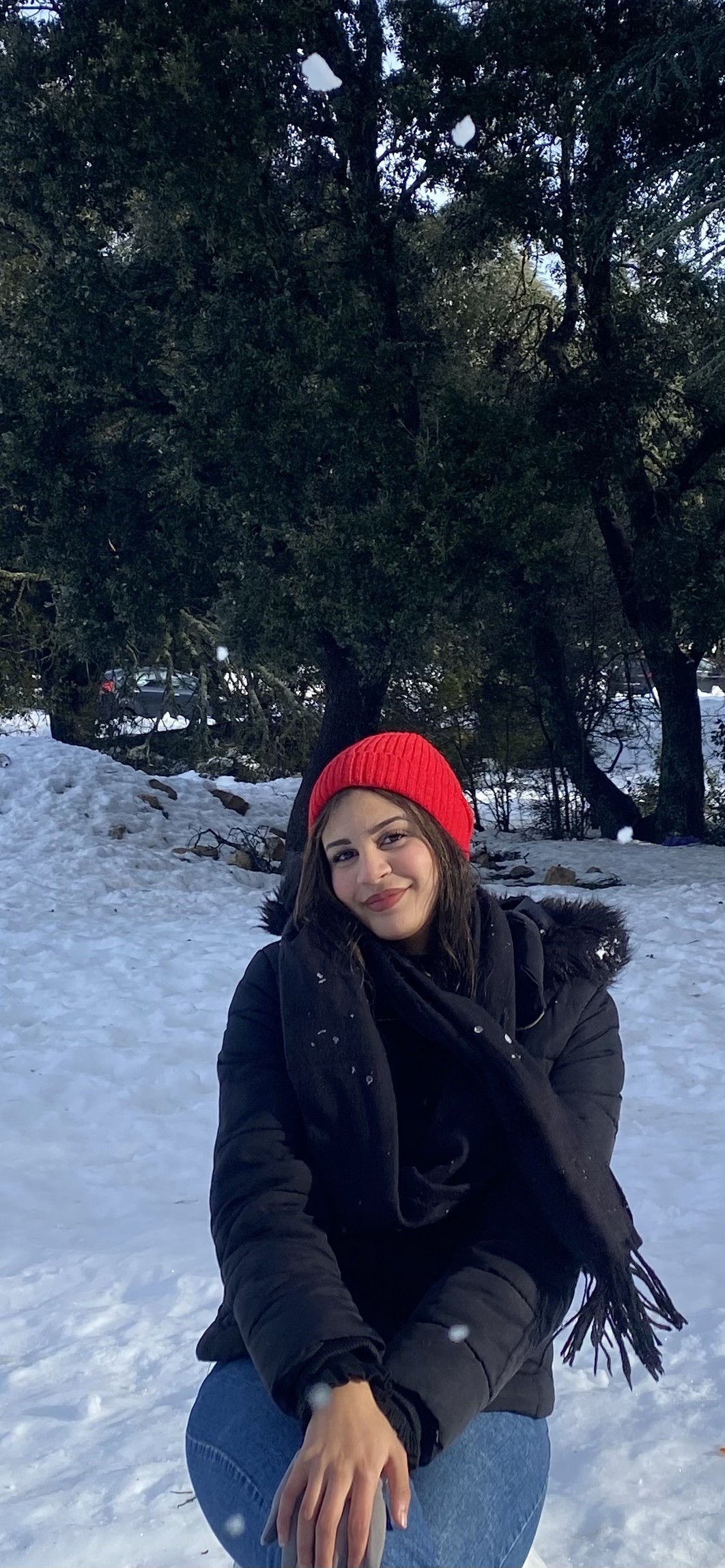 Hanine barqi